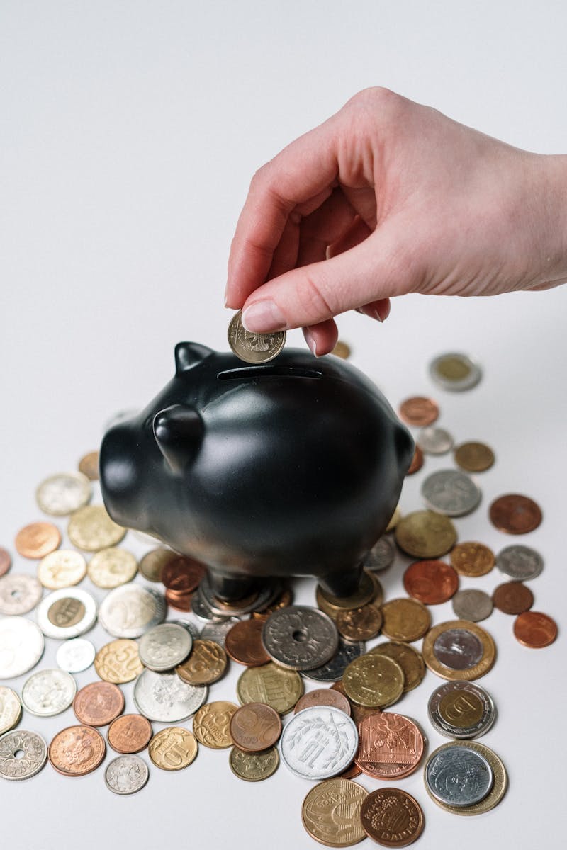 The Importance of Financial Audits for Growing Companies